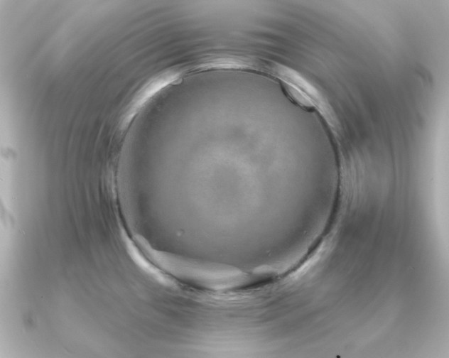 X0000091231433200708091410