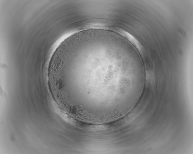 X0000091231435200708091410