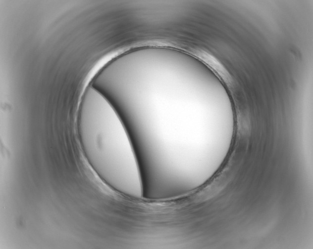 X0000091231436200708091410