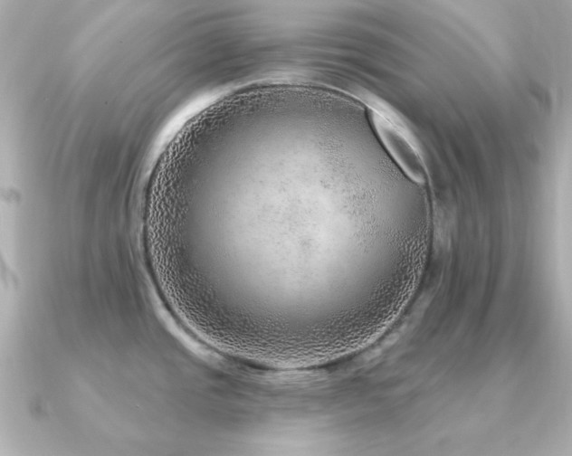 X0000091231437200708091410