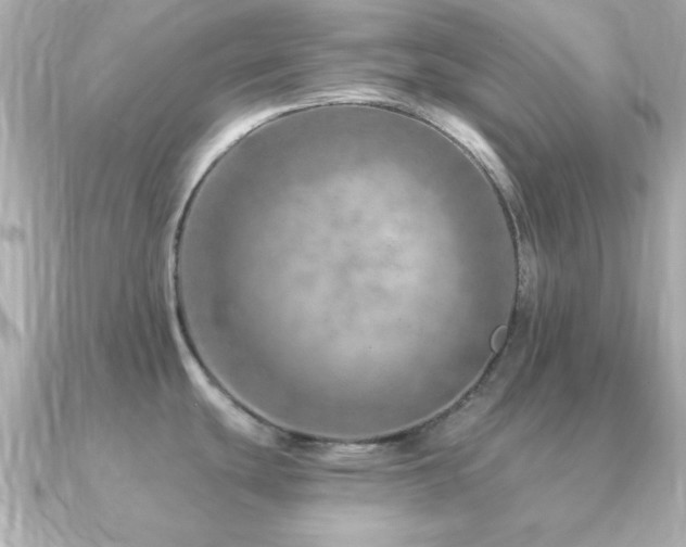 X0000091231439200708091410