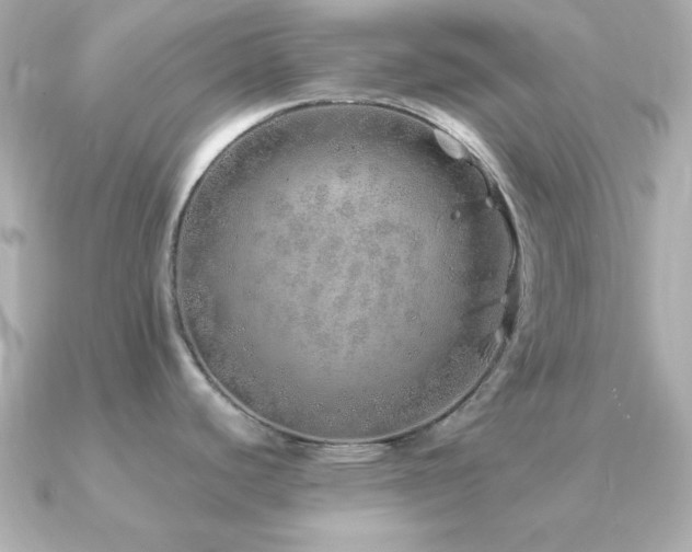 X0000091231440200708091410