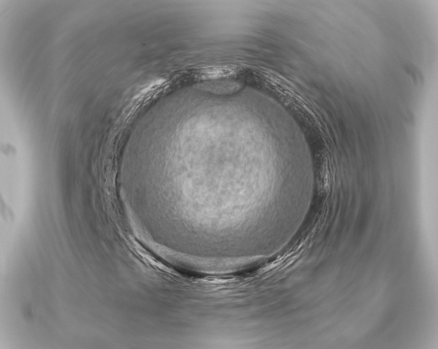 X0000091231441200708091409