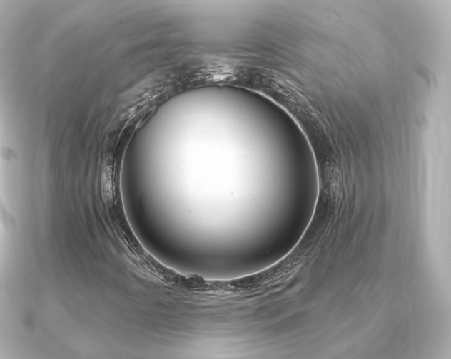 X0000091231442200708091409