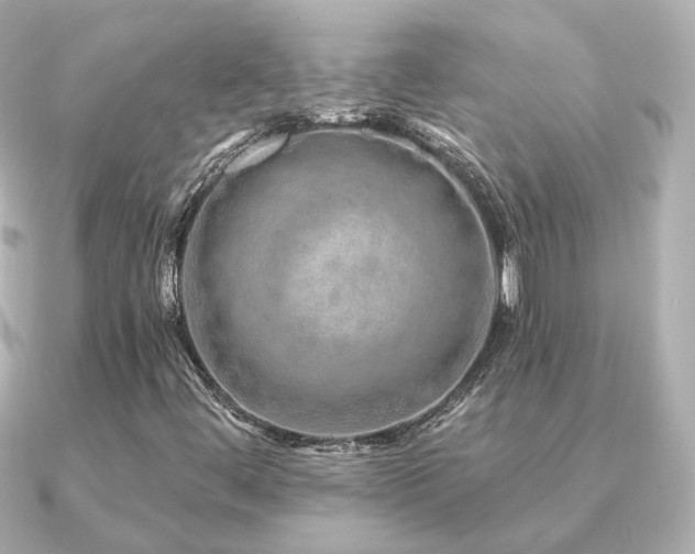 X0000091231444200708091409