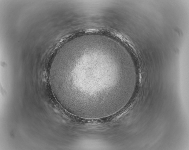 X0000091231445200708091409