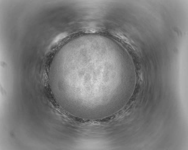 X0000091231446200708091409