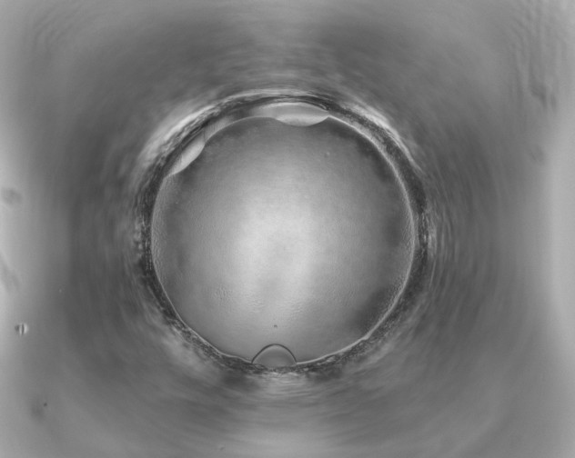 X0000091231448200708091409