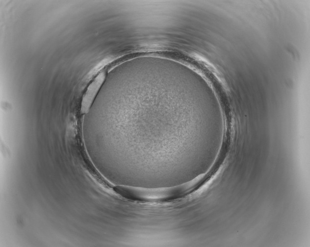 X0000091231449200708091409