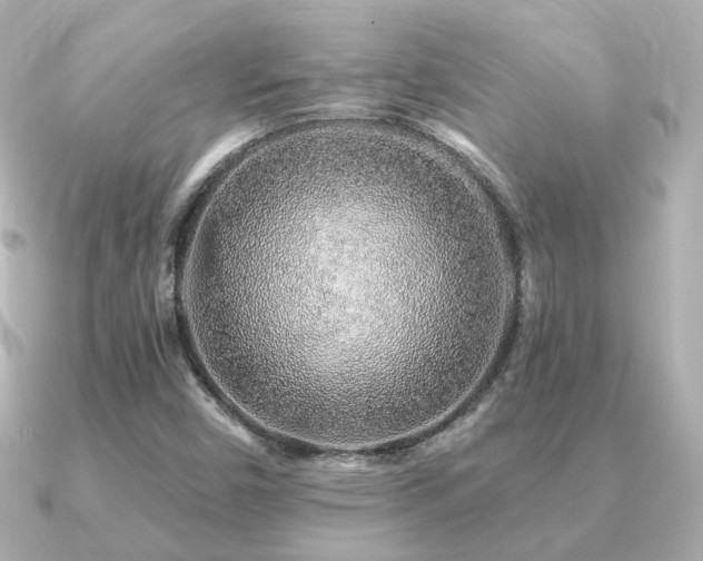 X0000091231450200708091409