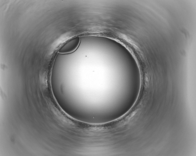 X0000091231451200708091409