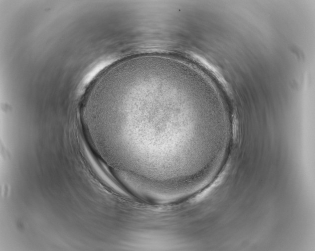 X0000091231453200708091409