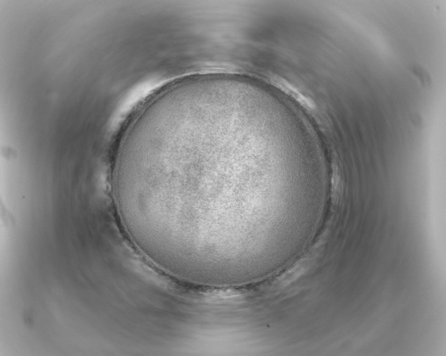 X0000091231454200708091409