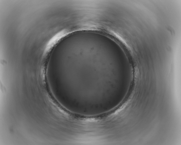 X0000091231455200708091409