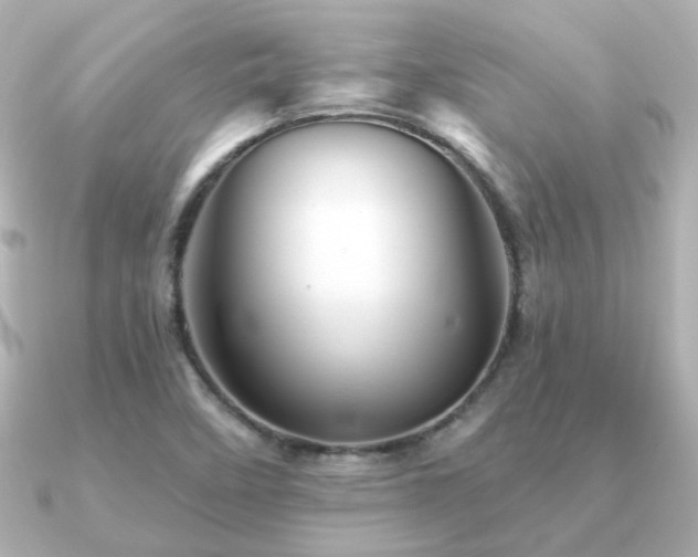 X0000091231458200708091409