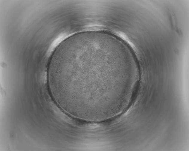 X0000091231459200708091409