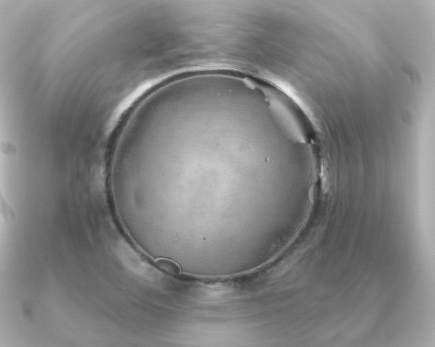 X0000091231460200708091409