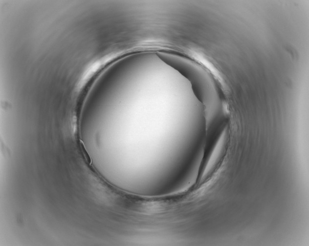 X0000091231461200708091409