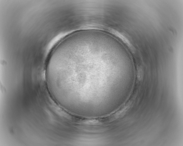 X0000091231462200708091409