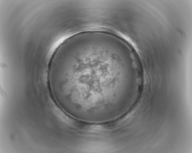 X0000091231463200708091409