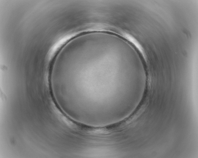 X0000091231464200708091409