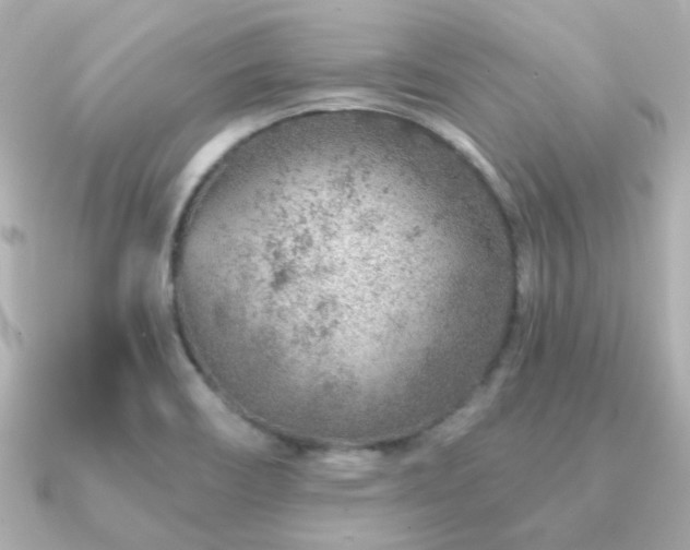 X0000091231466200708091409