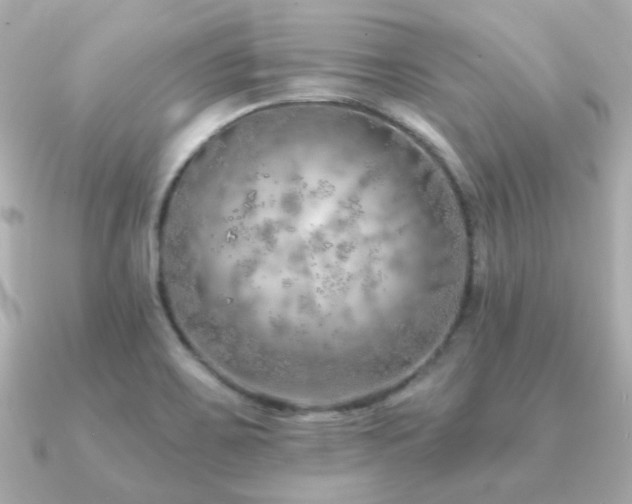 X0000091231467200708091409