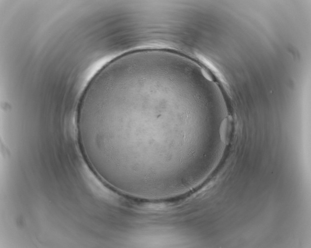 X0000091231468200708091409