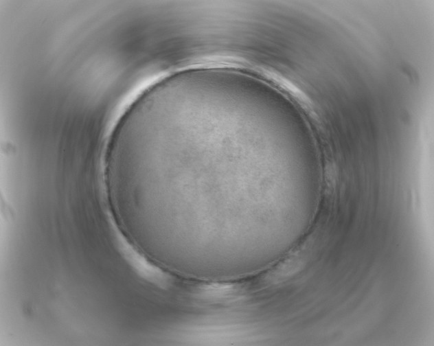 X0000091231470200708091409