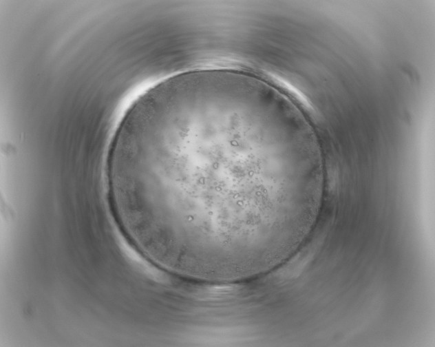 X0000091231471200708091409