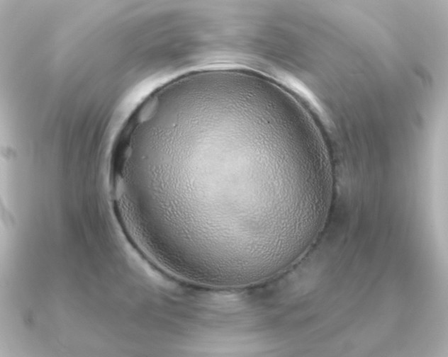 X0000091231472200708091409