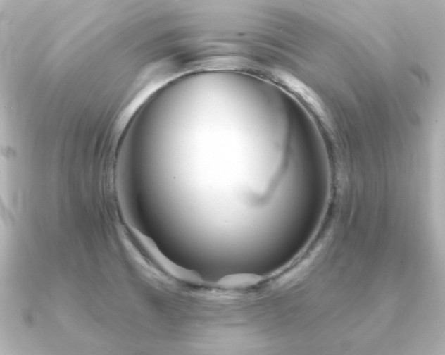 X0000091231473200708091409