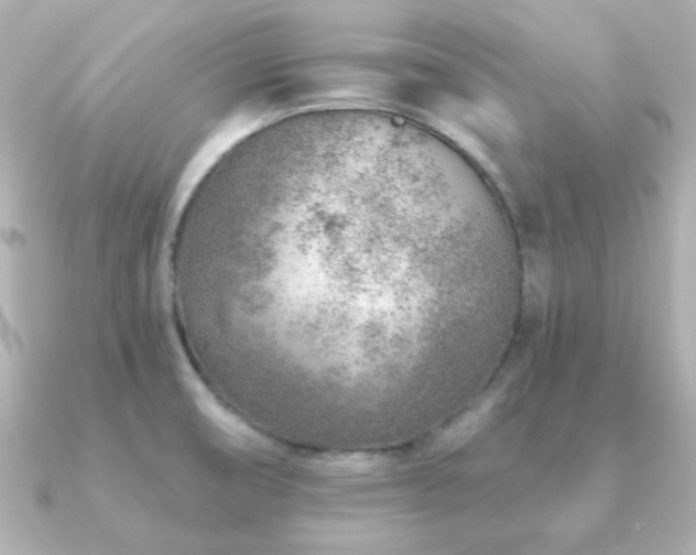 X0000091231474200708091409