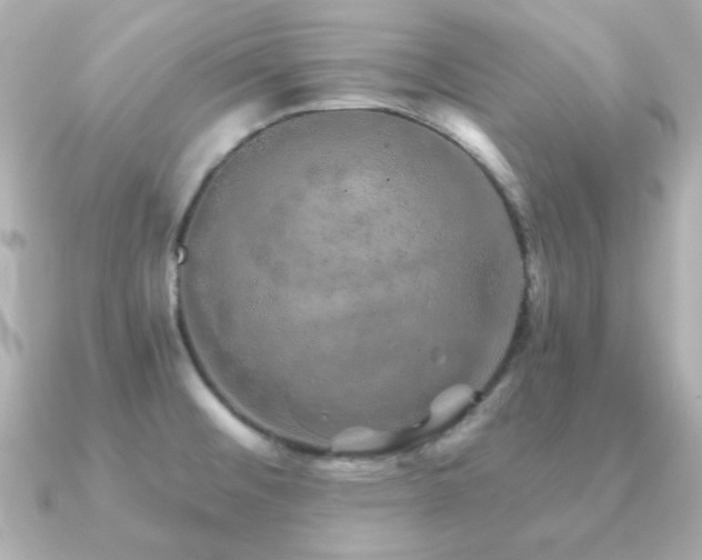 X0000091231476200708091409