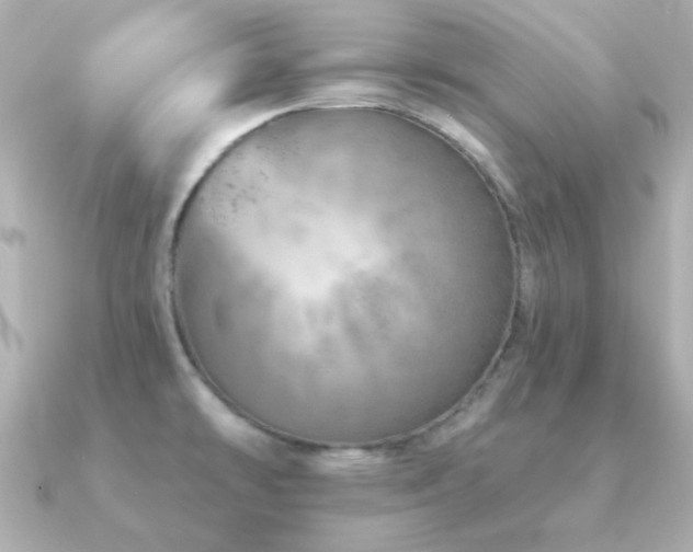 X0000091231478200708091409