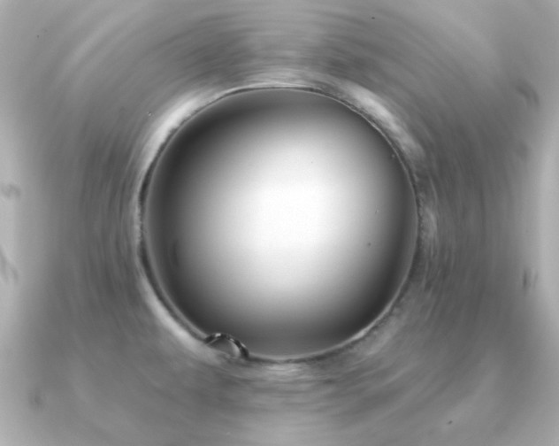 X0000091231479200708091409