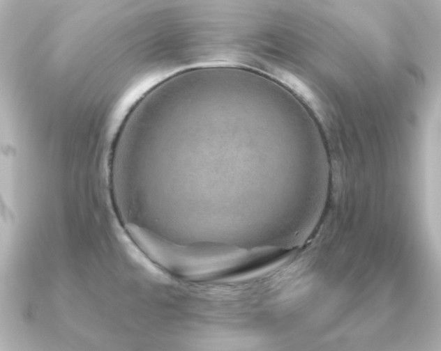 X0000091231480200708091409