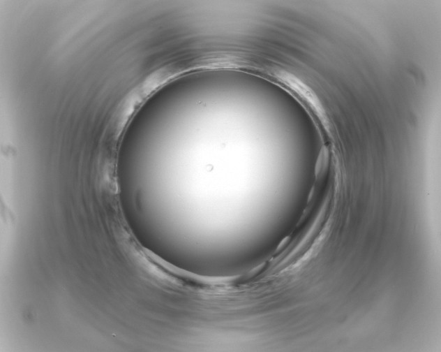 X0000091231481200708091409