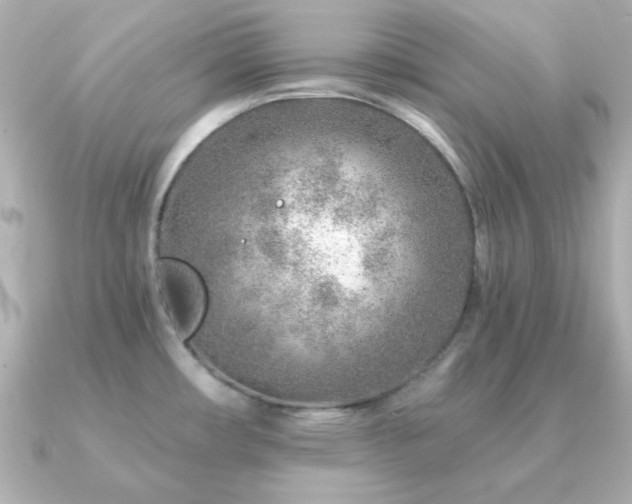 X0000091231482200708091409