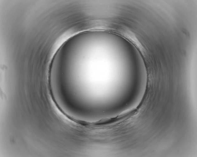 X0000091231483200708091409