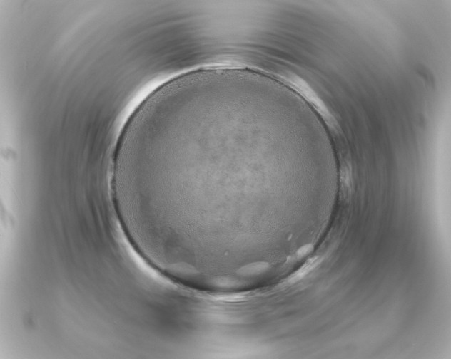 X0000091231484200708091409