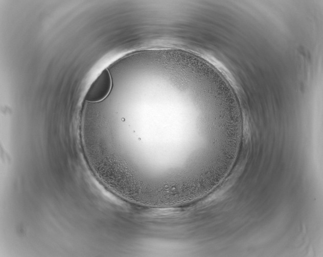 X0000091231486200708091409