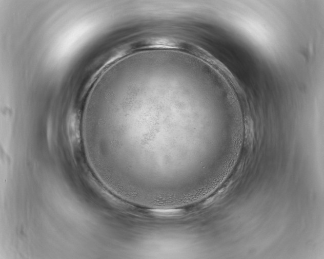 X0000091231487200708091409