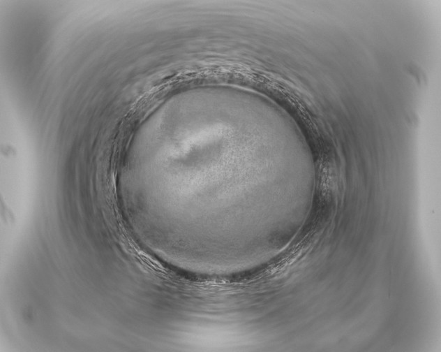 X0000091231489200708091408