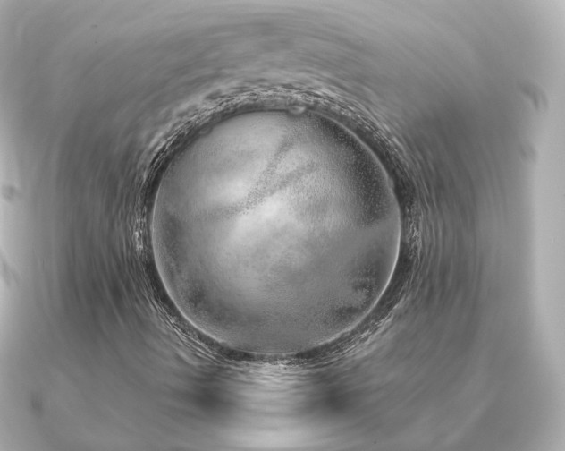 X0000091231490200708091408