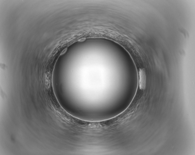 X0000091231491200708091408