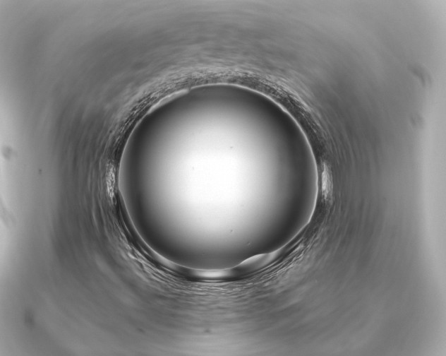 X0000091231492200708091408