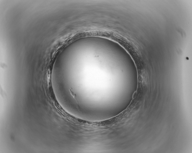 X0000091231493200708091408