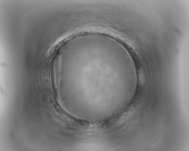 X0000091231494200708091408