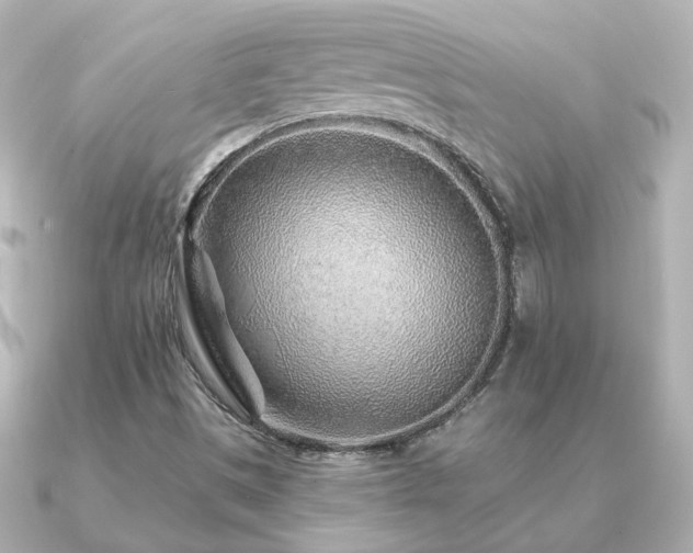 X0000091231497200708091408